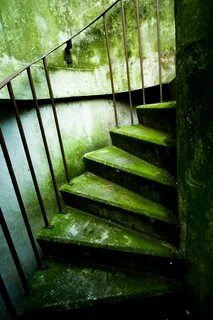Green steps