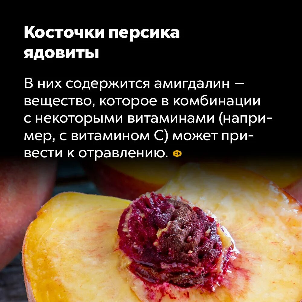 Что содержится в персиках. Интересные факты о персике. персик факты. косточка персика ядовита. удивительный факт о персиках.