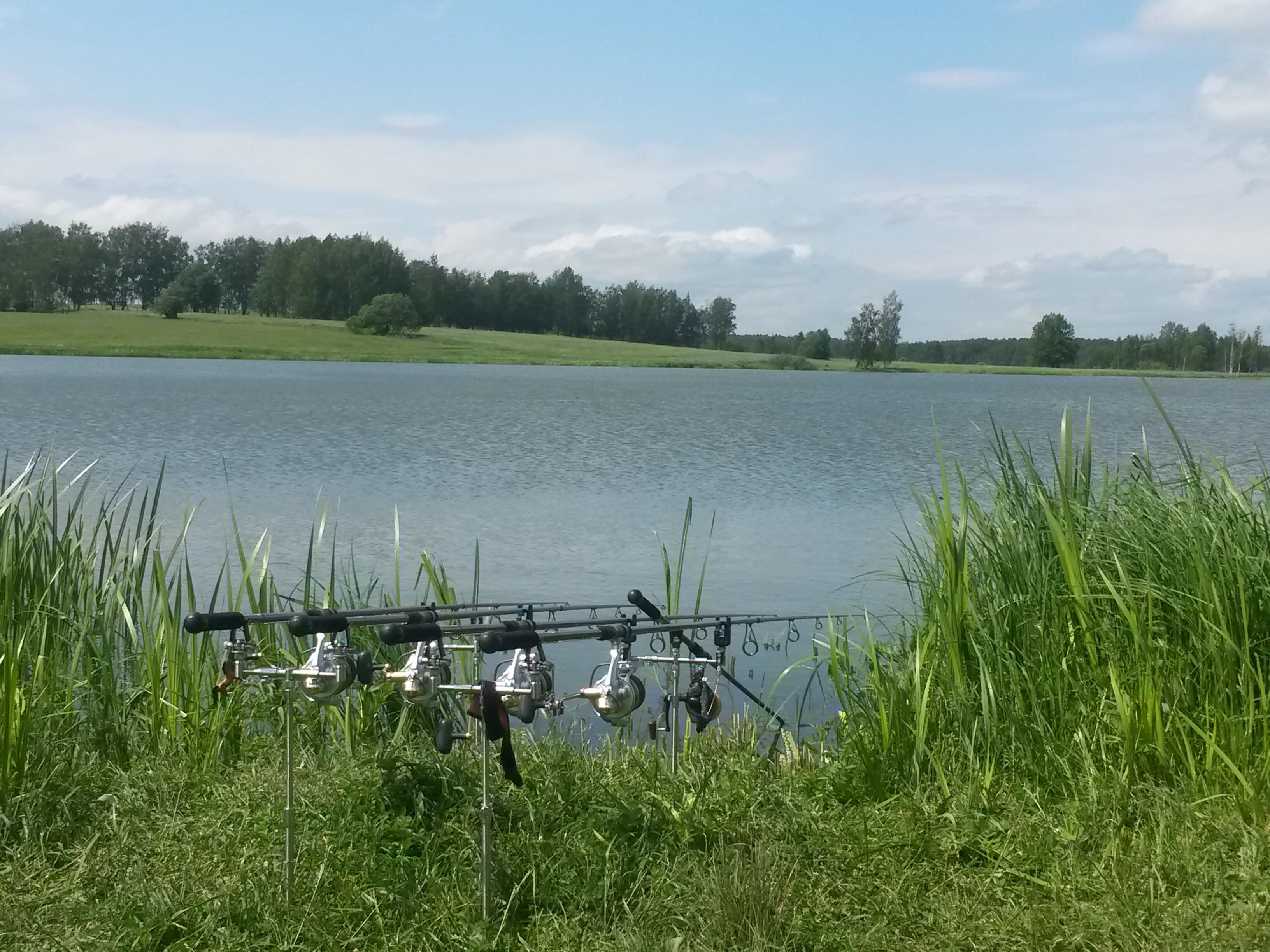 Пруд аряш саратовская область рыбалка. Пруд аряш в саратовской области. Аряш пруд саратов. Пруд аряш саратов рыбалка. Пруд аряш в саратовской области.