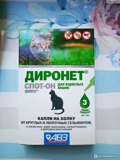 Таблетки от глистов для кошек диронет инструкция