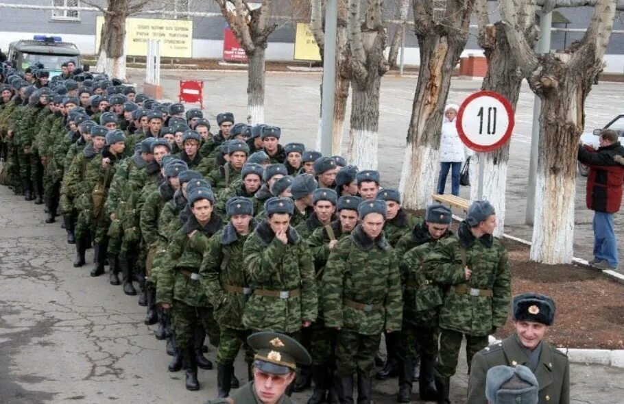 Сколько набрали добровольцев контрактников