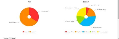 Анализ интернет журнала