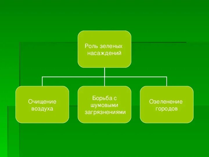 Видовой состав болота. Болото виды. Типы болот. Какие существуют типы болот. Видовая структура болота.