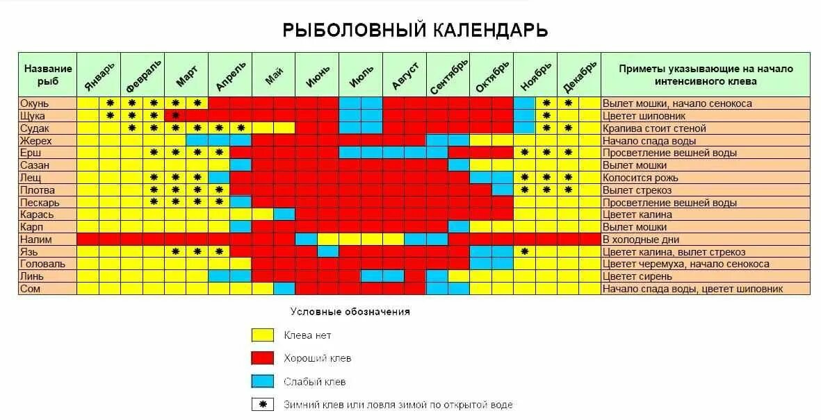 Календарь клева краснодарский край. Таблица активности клёва рыбы. Таблица клева карася. Таблица клева рыбы по месяцам. Таблица ловли рыбы по месяцам.