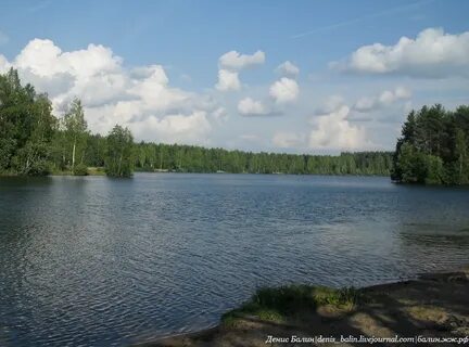 Поселок шапки