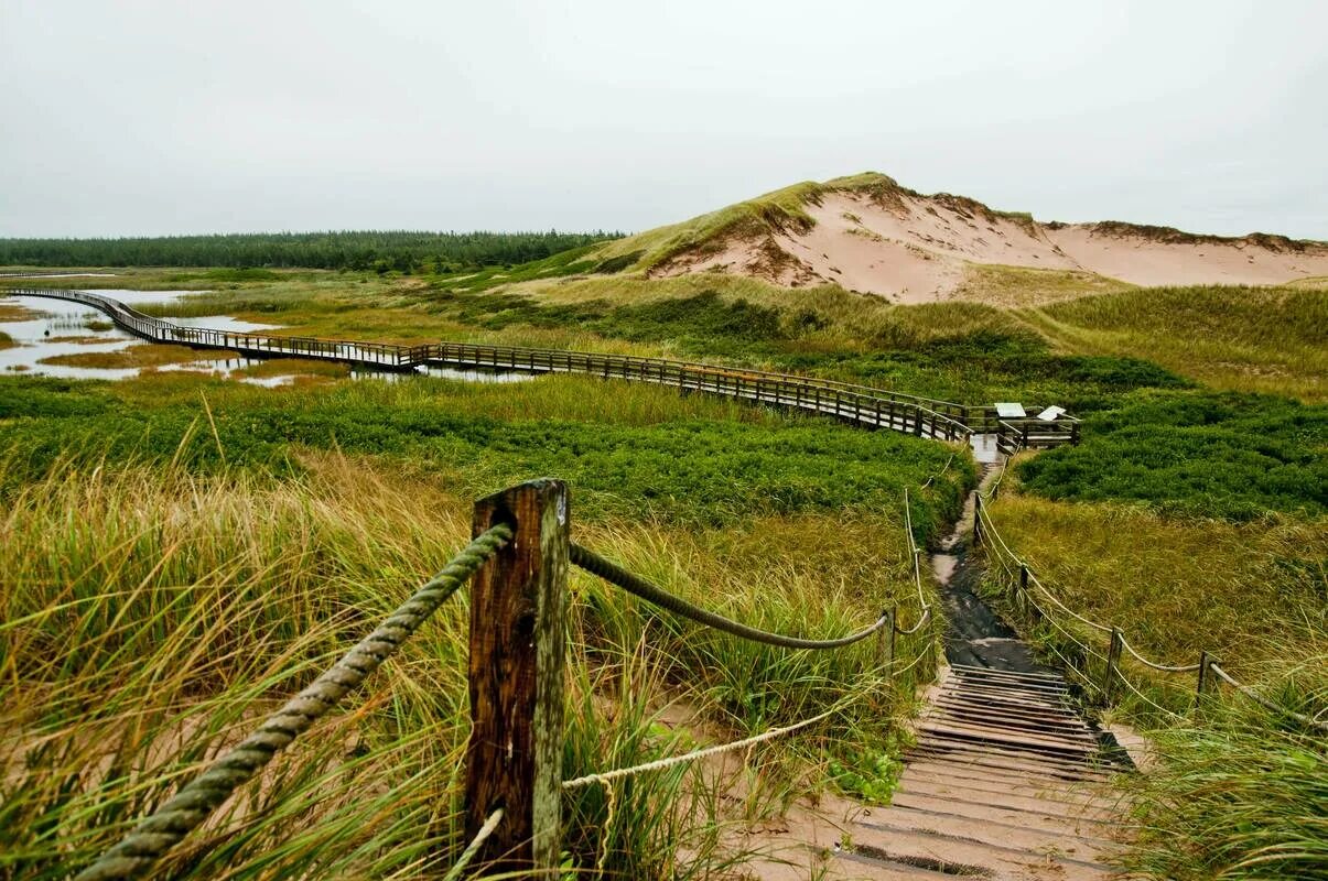 Prince edward island. Принц Эдвард Айленд Канада. Остров принца Эдуарда (национальный парк). Остров принца Эдуарда Канада. Prince Edward Island провинция.