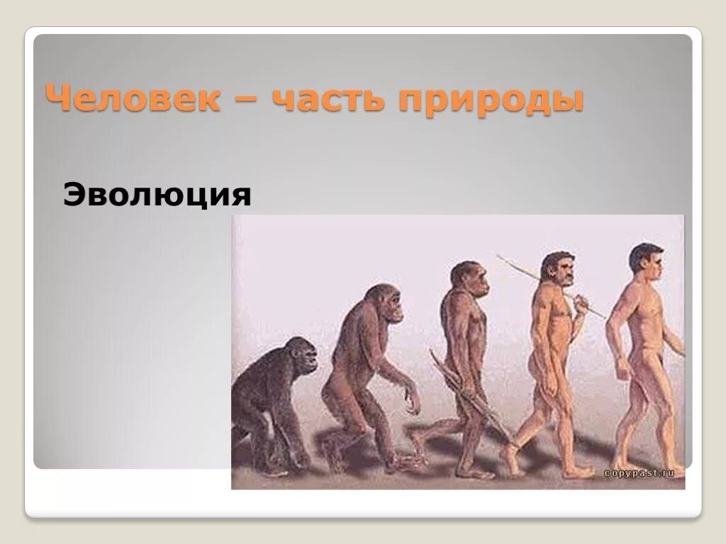 Человек часть природы. Эволюция природы. Человек часть природы презентация. Человек разумный часть природы.