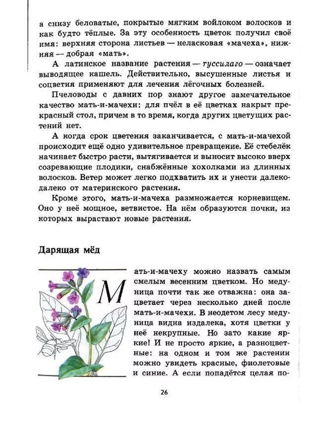Читать книгу о растениях