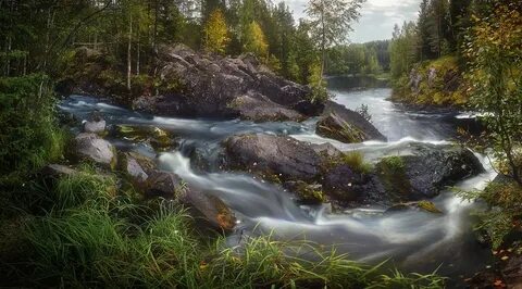 Суна аи