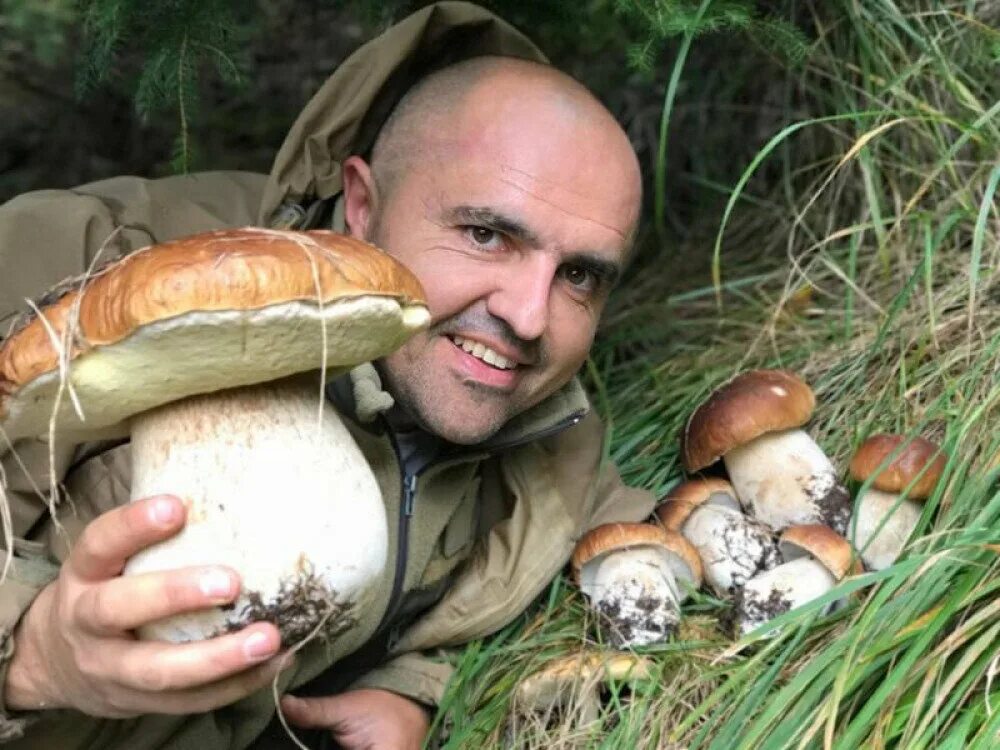 Грибник. Мужик грибник. Собиратель грибов. Смешные грибы.