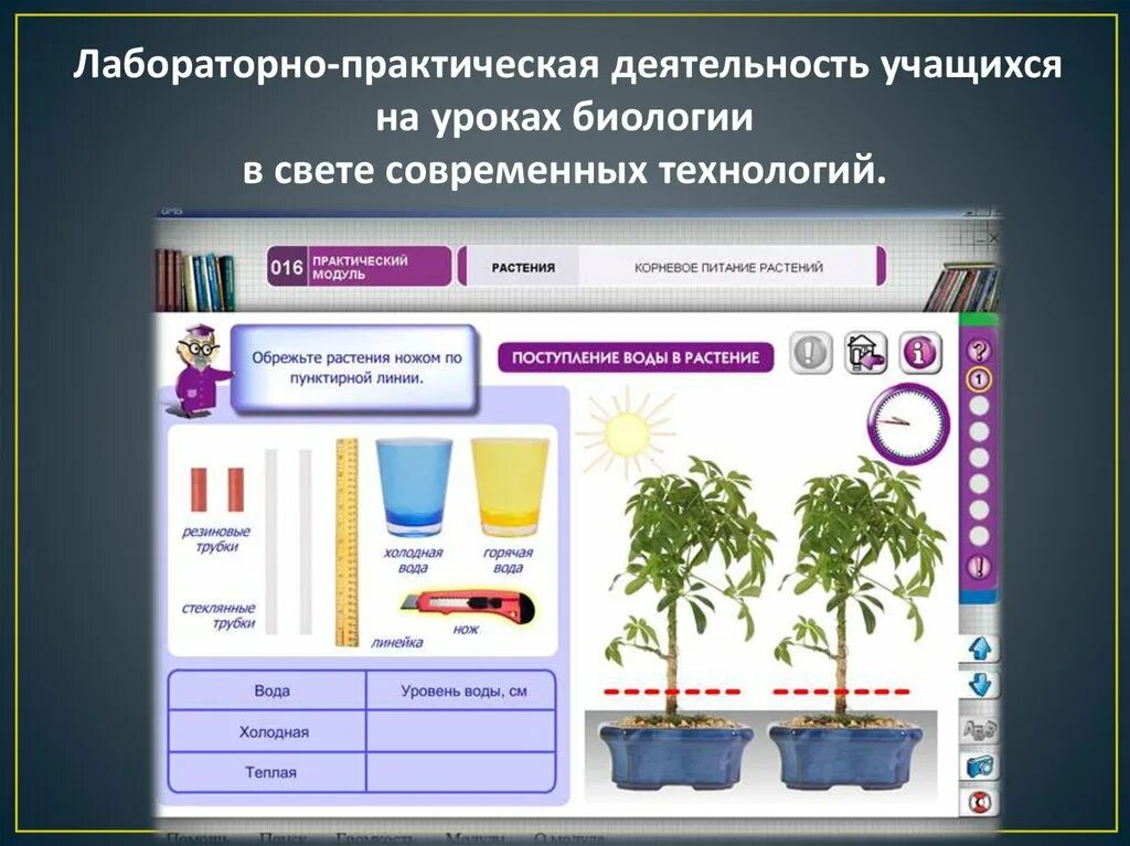 Лабораторный урок по биологии. Практическая работа на уроке биологии. Цифровые образовательные ресурсы на уроках биологии. Лабораторные работы на уроках биологии. Электронные образовательные ресурсы по биологии.