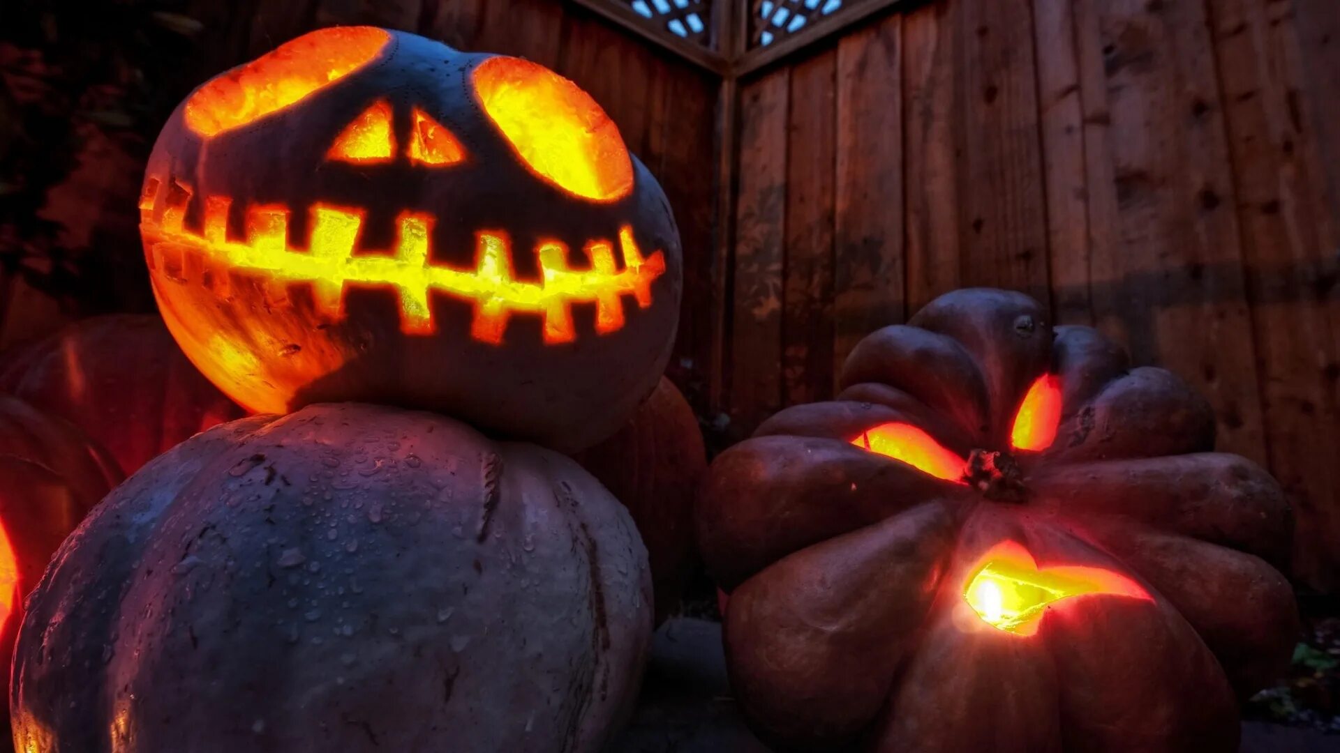 Тыква фон. Jack тыква тыква o'lantern. Сон ела тыкву. Тыква может быть светлой. Тыква плоская.