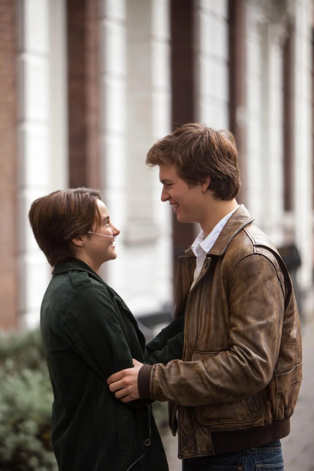 виноват звезда русский язык