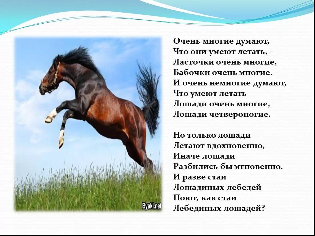 Стихи про лошадей. Стих про коня. Стихотворение про лошадь. Стих про лошадь для детей. Скачут кони стихотворение