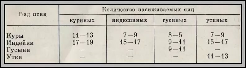 Сколько времени высиживает