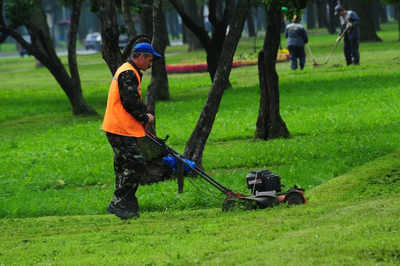 Рабочие по благоустройству территории. Уборка прилегающей территории. Рабочие по благоустройству территории. Уборка придомовой территории. Уборка территории.