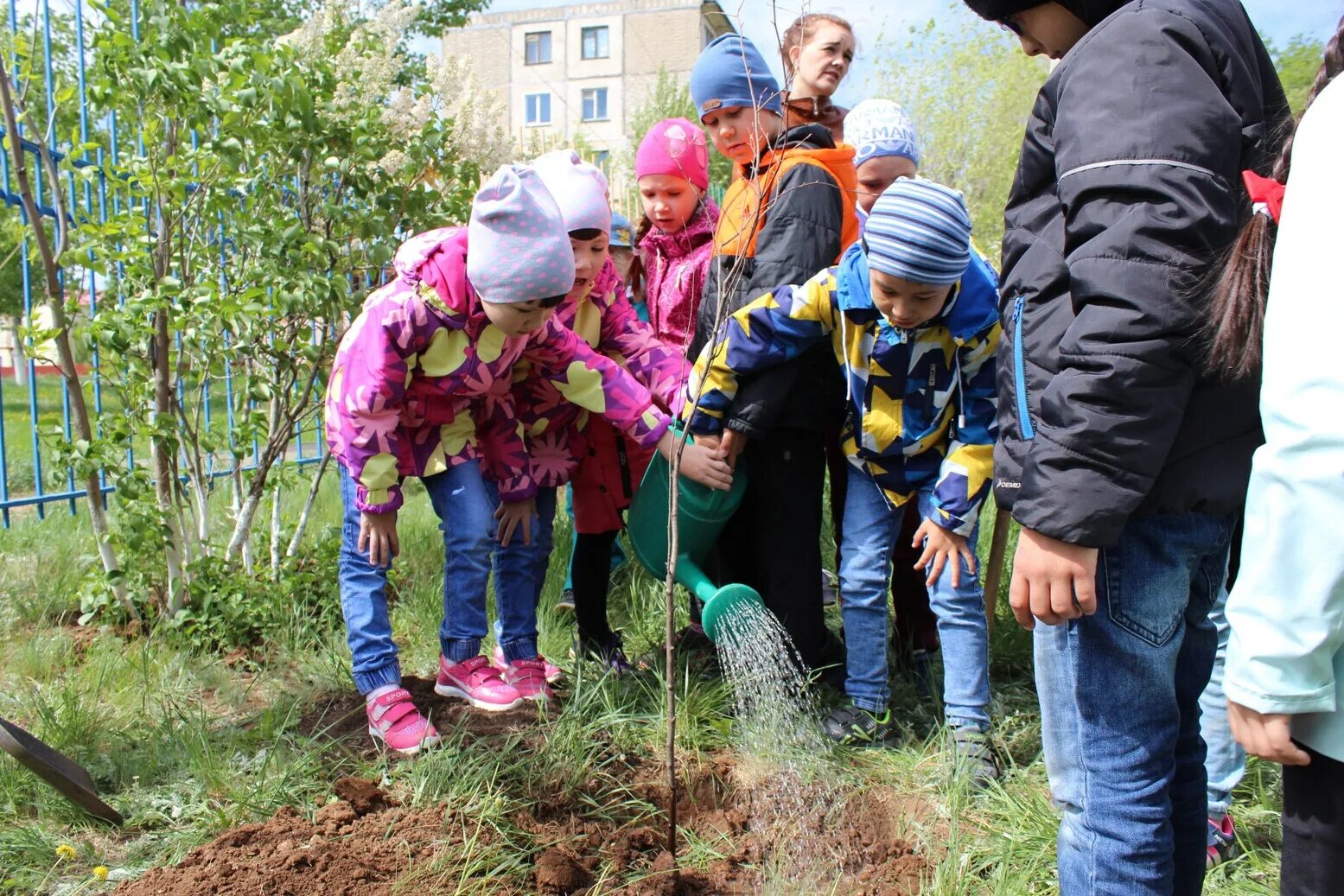 Посадка деревьев в ДОУ. Экологические дни. Детям об экологии в детском саду. Коллективная посадка деревьев. Детский экологический праздник