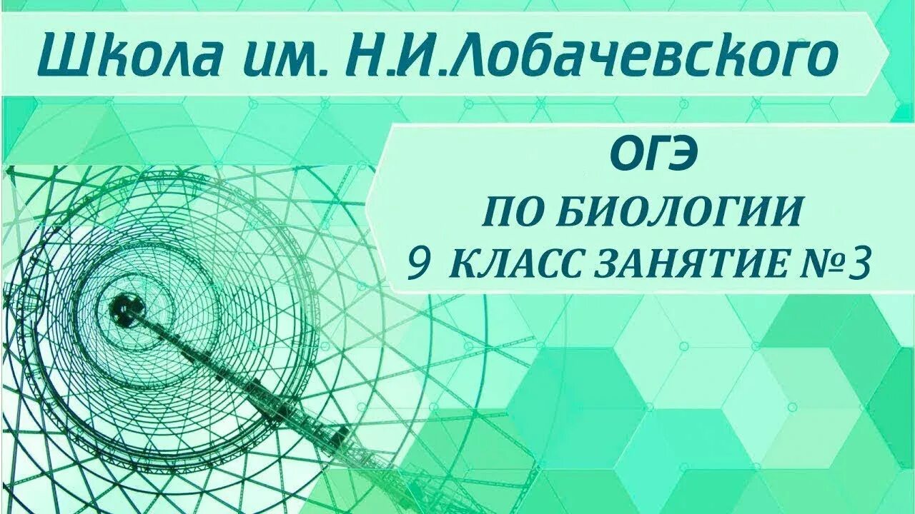 Видеоуроки биологии 11 класс. Школа Лобачевского. Школа Лобачевского ОГЭ биология. Окружающий мир школа Лобачевского.