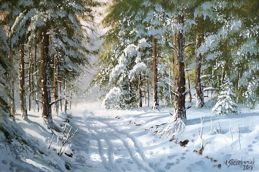 Изображен зимний лес. Изображен зимний лес