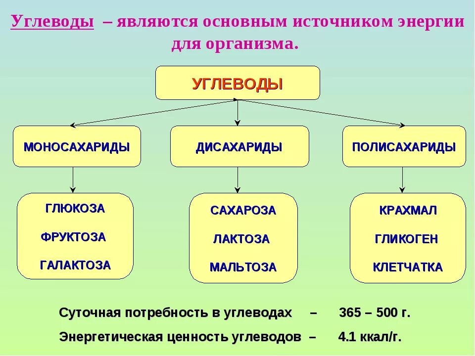 Что является источником. Углеводы источник энергии. Углеводы основной источник энергии. Основной источник энергии в организме. Углеводы являются основным источником энергии в организме..