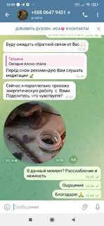 Телеграмм полины