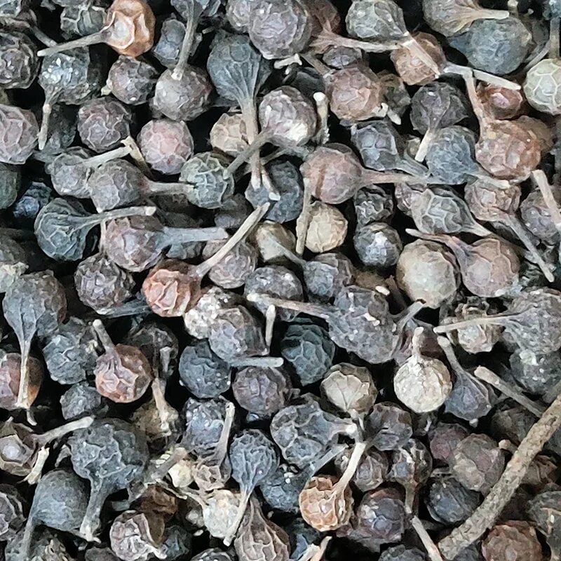 Перец кубеба горошек 10 г. Перец кубеба растение. Перец кубеба растение. Перец кубеба. Перец кубеба (горошек).