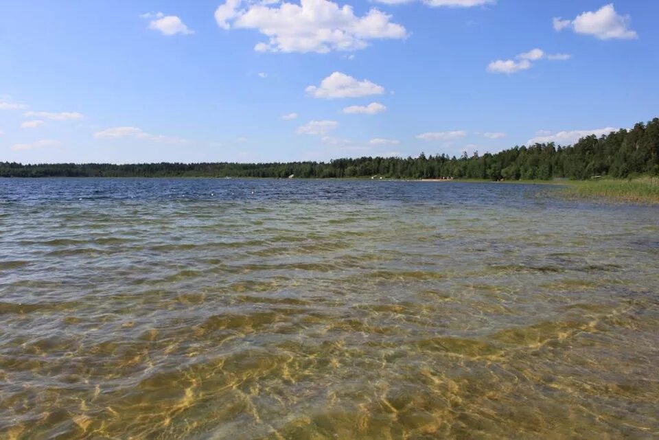 Погода на озере вода. Белое озеро Николаевский район. Белое озеро Ульяновская область. Белое озеро Ульяновск. Ульяновск белое озеро Николаевский.