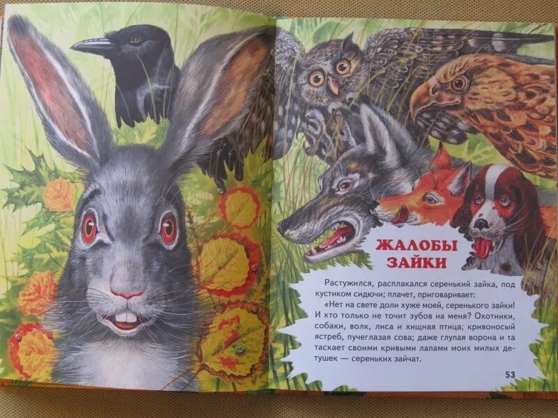 Зайка с книжкой. Удивительные факты о зайцах. Описание любимой игрушки. Сказка про зайчика. Рассказ про зайку.