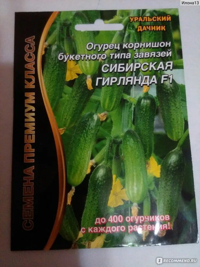 Интернет магазин сидспост каталог. Seedspost семена интернет магазин. Семена сидспост каталог. Seedspost ru интернет магазин семян каталог товаров. Сеедспост семена каталог.
