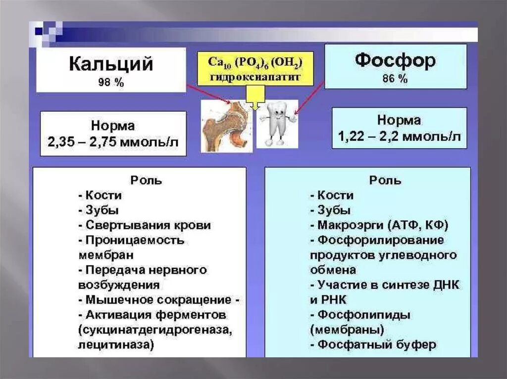 Соотношение кальция и фосфора в крови в норме. Функции кальция и фосфора в организме. Взаимосвязь фосфора и кальция в крови. Обмен кальция и фосфора у детей. Соединения кальция в организме