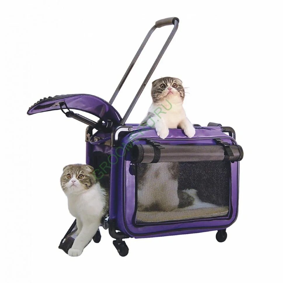 Переноска Cat Carrier. Сумка переноска на колесах Pet Carrier. Переноска для собак tutto. Переноска для собак Pet choice. Коляска для котов