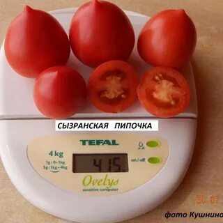 Томат пипочка