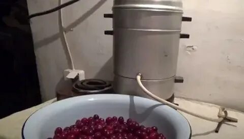 Сок из рябины в соковарке