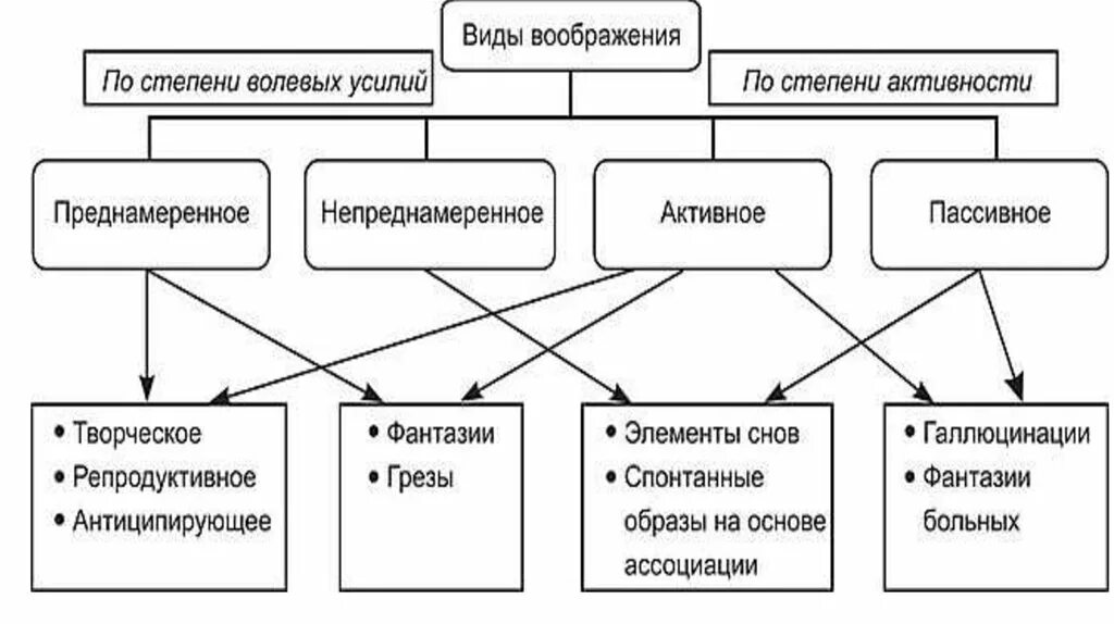 Таблицу виды воображения. Таблицу виды воображения
