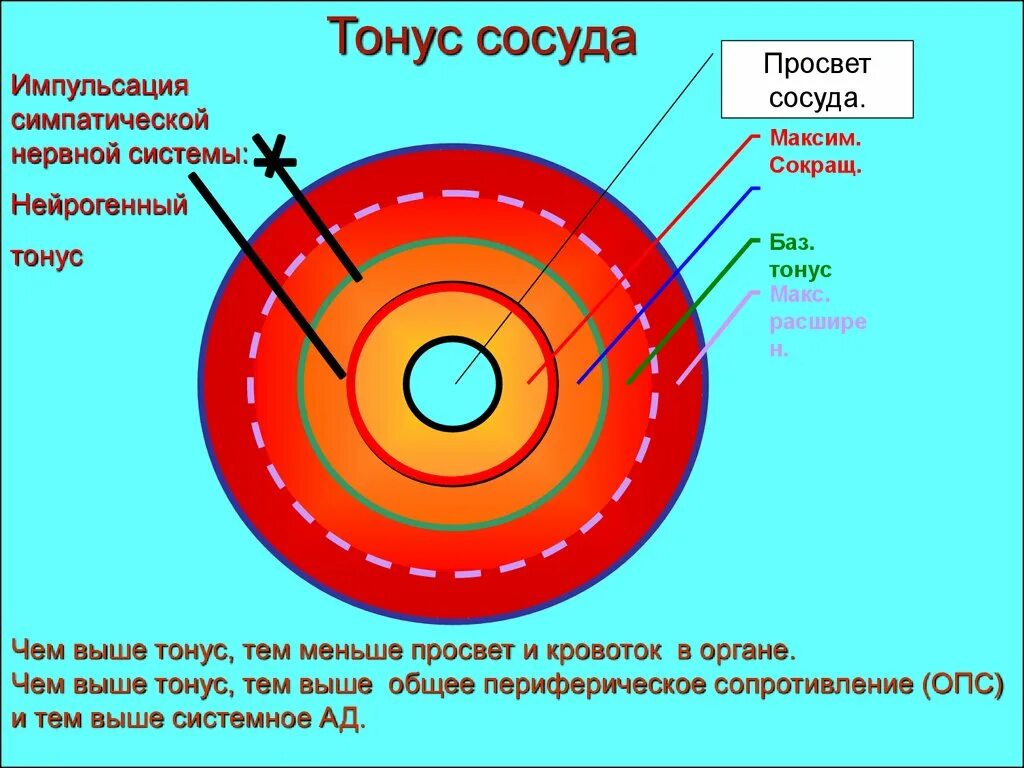 Изменение тонуса сосудов