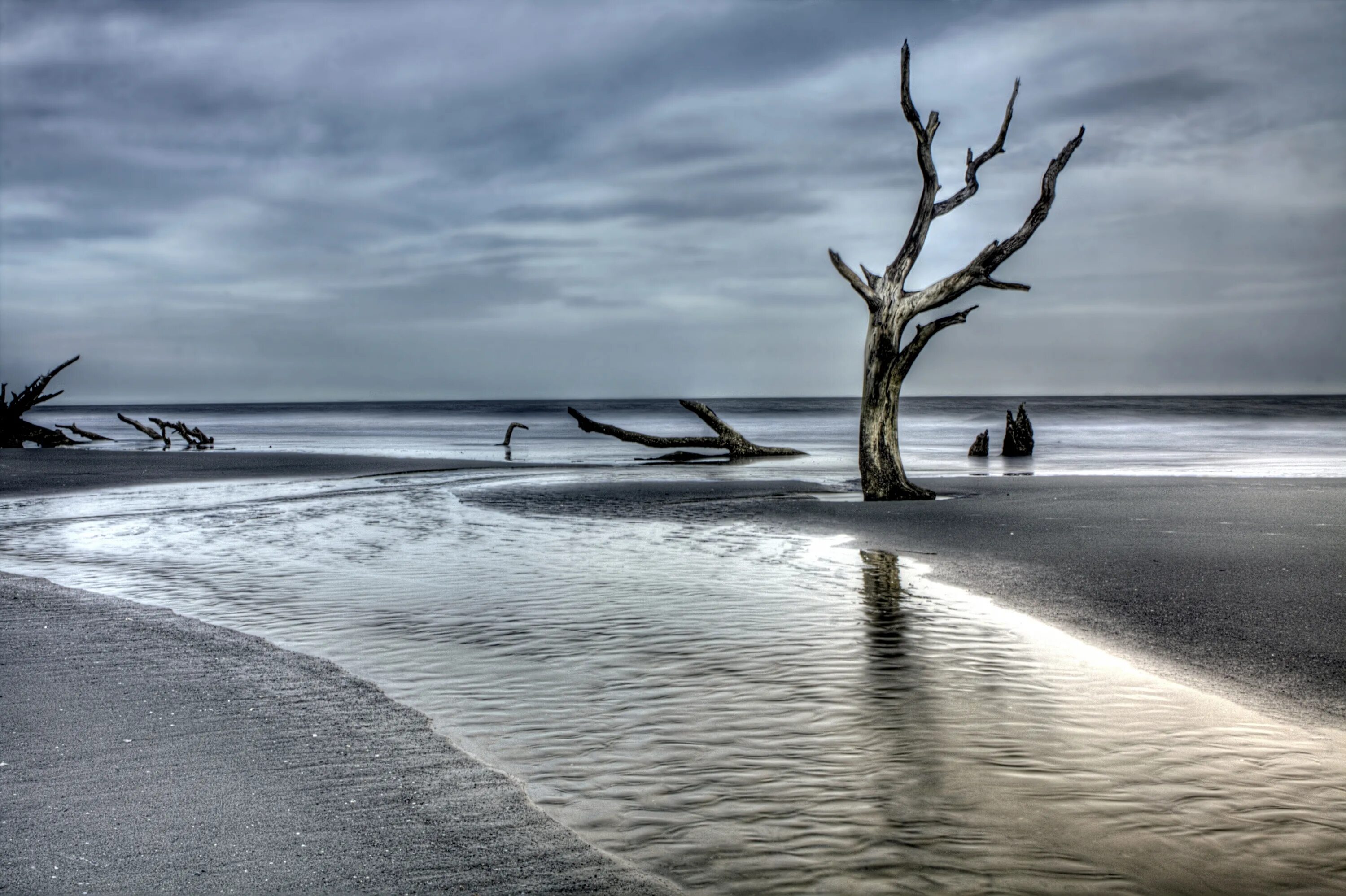 Коряга в море. Коряга на берегу моря. Коряга на пляже. Морские коряги на берегу. Коряги на берегу