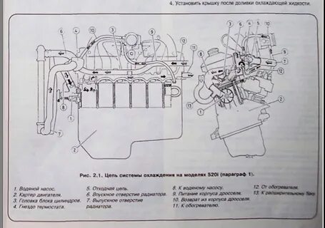 Схема охлаждения газель 405