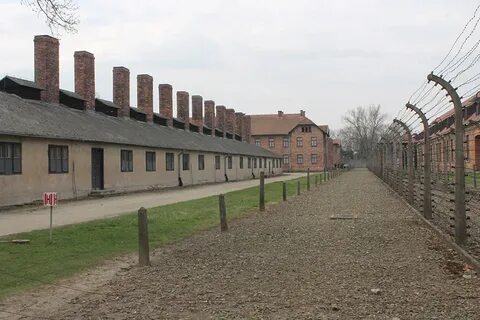 Освенцим отзывы