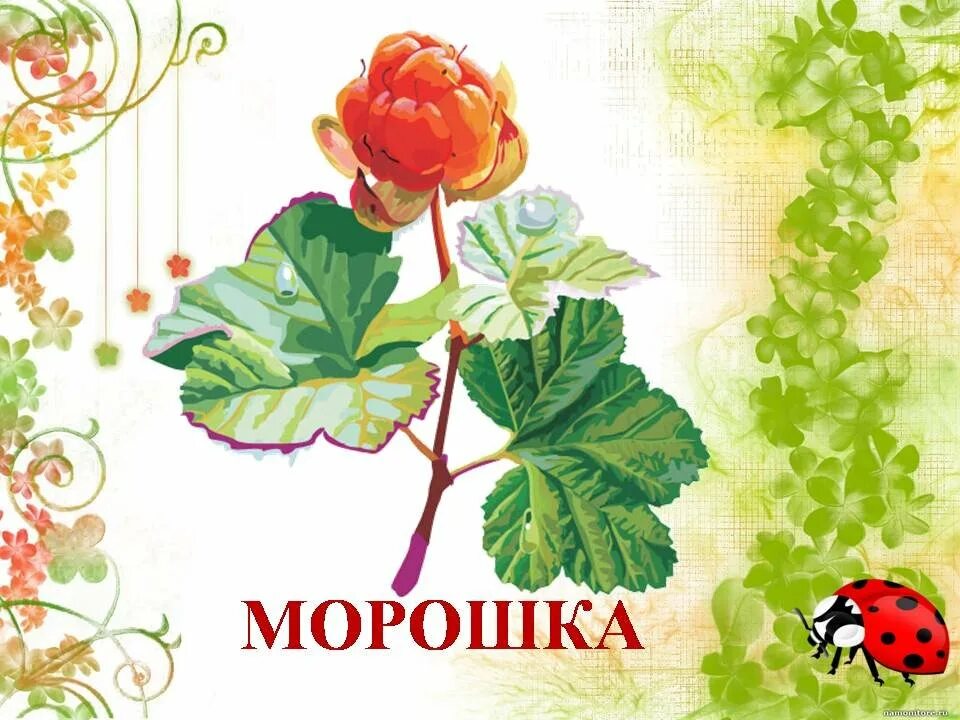 Лекарственные растения в доу. Лекарственные травы детям. Плакат лекарственные растения для детей. Лекарственные травы детям. Картотека зеленая аптека.