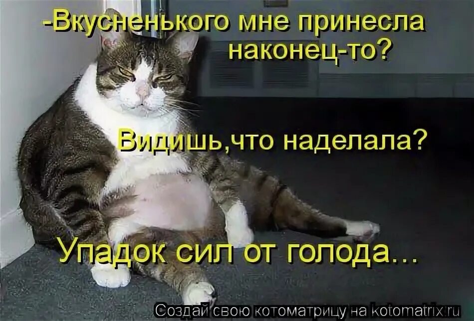 Надо кушать милые пикчи. Наконец принести. Троллфейс приколы. Кошка в обмороке. Наконец то дождались.