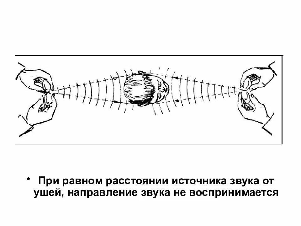 Определить направление звука. Определение направления источника звука. Локализация источника звука в пространстве бинауральный слух. Как определить направление звука. Локализация источника звука.