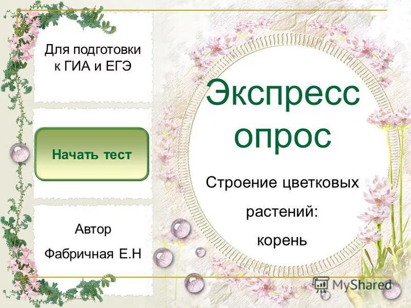 Проверочная работа строение корня. Проверочная работа строение корня