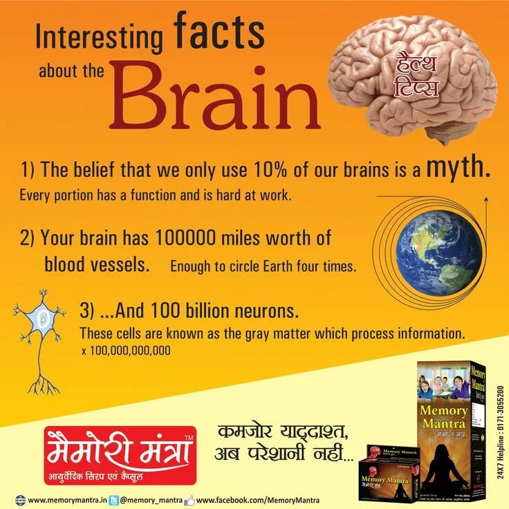 Interesting facts about Brain. Interesting facts about Human Brain. Facts about the Human Brain. Interesting facts.