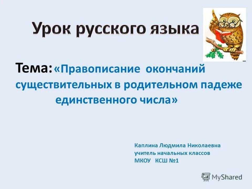 Презентация правописание окончаний существительных 5 класс. Административное право метод. Метод административно-правового регулирования.