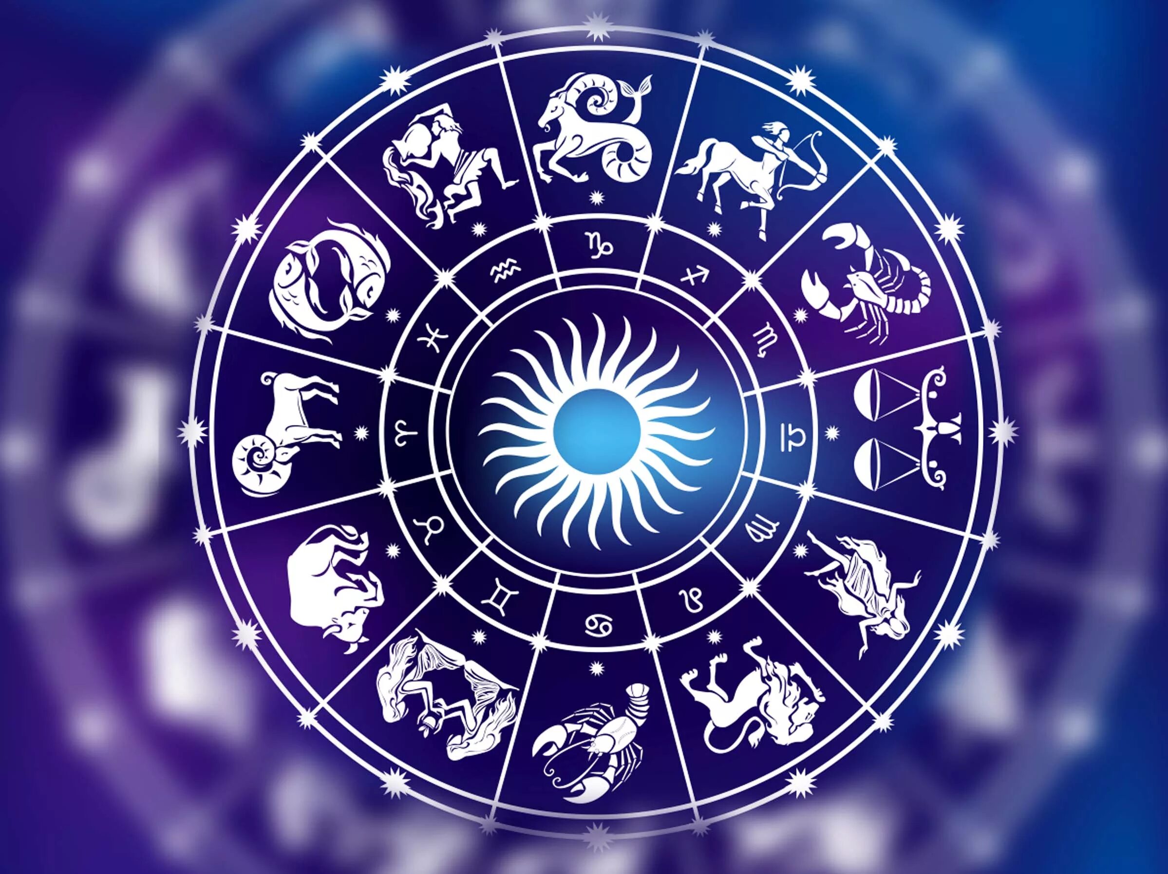12 zodiacs. Знаки зодиака. Зодиакальный круг. Зак Зодиак. Гороскоп рисунок.