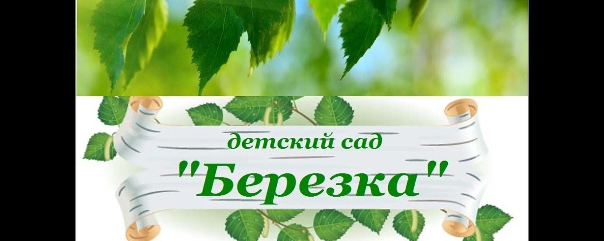 Доу березка. Детский сад Березка. Эмблема детский сад Березка. Баннер в детский сад с березками. Картинка Березки для детского сада.