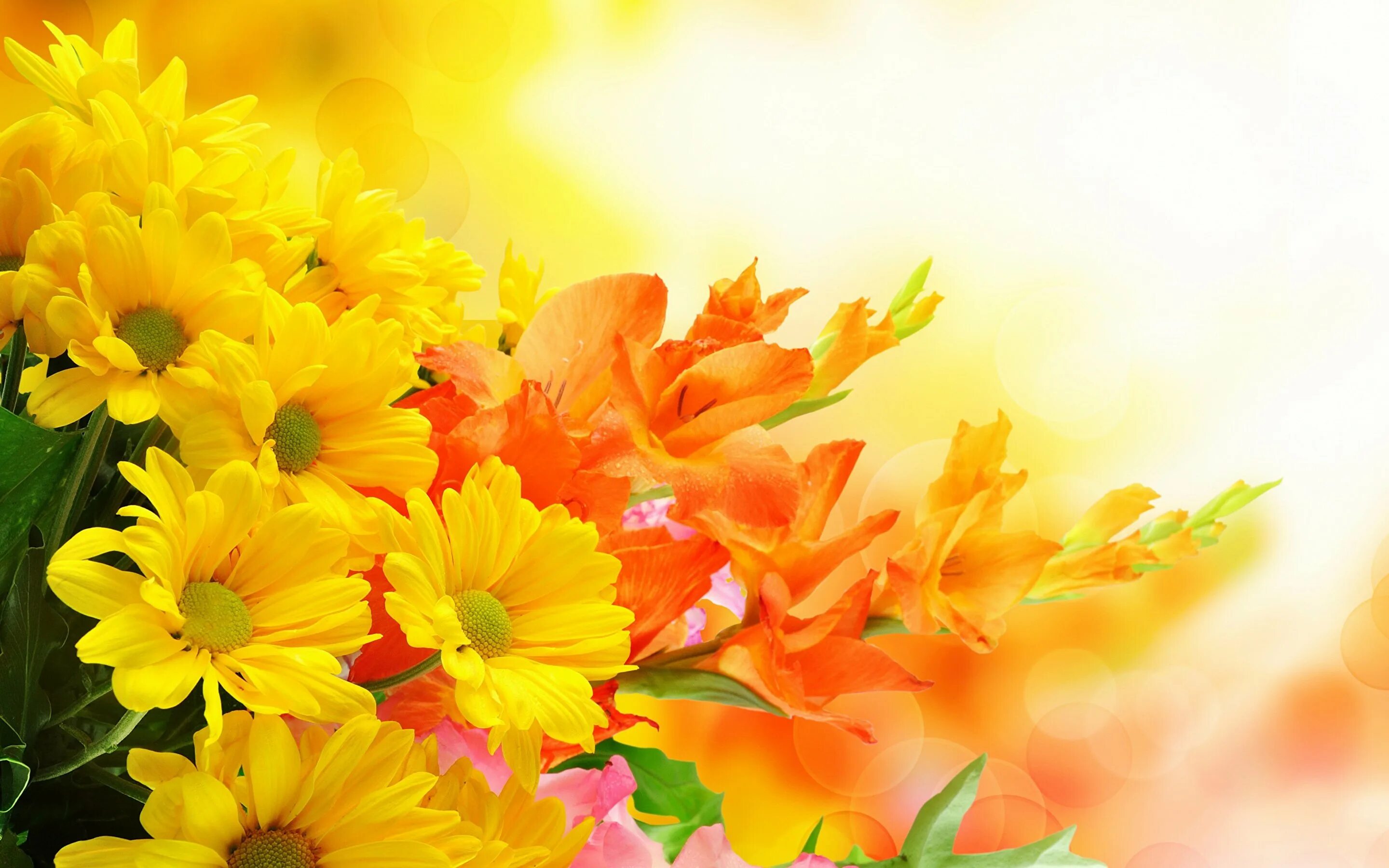 Цветочный фон. Цветы на желтом фоне. Праздничные цветы. Фон с цветами для открытки с днем рождения.