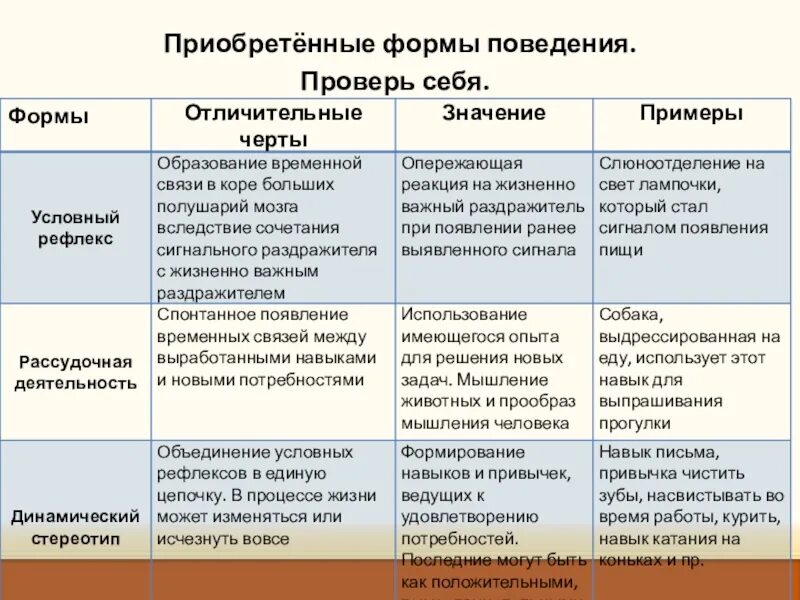 Виды программ поведения. Приобретенные формы поведения. врожденные и приобретенные формы поведения. формы поведения человека. приобретенные формы поведения животных.