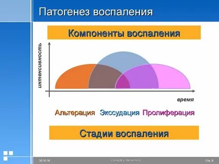 Компоненты воспаления