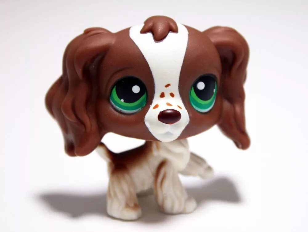 Кините пет. Лпс кокер спаниель. LPS кокер спаниель. Лпс спаниель #1825. Littlest Pet shop кокер спаниель.